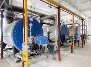 低氮冷凝燃油燃?xì)鉄崴仩t實(shí)例